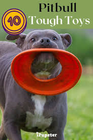 2020 S Top 10 Indestructible Best Toys For Pit Bulls You Ll Need In 2020 Durable Dog Toys Dog Activities Best Dog Toys