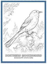 Each state coloring sheet includes a state map, state flags, state flower, state bird, state landmark, and so kids can read, learn, and color about he united states. State Bird Coloring Pages By Usa Facts For Kids Bird Coloring Pages Flower Coloring Pages Coloring Pages