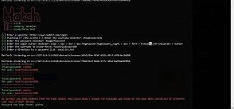 How To Brute Force Nearly Any Website Login With Hatch Brute Force Website Login Learn To Code