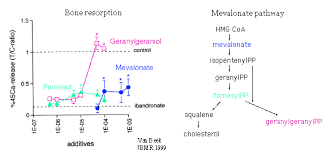 Image result for Bisphosphonates