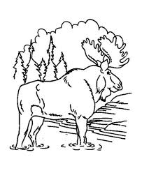 Filled with plants, animals, insects, and beautiful colors, forests are a magical place for children. Fires In The Forest Coloring Pages Google Search Puppy Coloring Pages Animal Coloring Pages Coloring Pages Winter