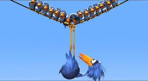 Image result for for the birds