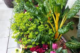 An abundance of large trees and shady areas in your yard can be seen as challenge or an opportunity. The Garden Professors Advancing The Science Of Gardening And Other Stuff Since 2009