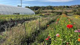 Community Nature Journaling