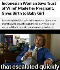Only the best of the best make it onto this site, with most of them having an accompanying source. Best 30 Well That Escalated Quickly Fun On 9gag