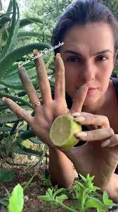 فوائد الألوفيرا للبشرة الحساسة