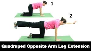 Pin On Individual Back Pain Exercises Stretches