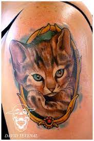 A Kitty Cat Tattooed By David Tevenal Cat Tattoo Dog Tattoos Cat Portrait Tattoos