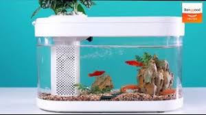 Xiaomi Youpin Fish Tank Smart Feeder With App Control Banggood New Tech Youtube