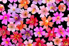 I comodi pulsanti verdi download ti consentono di caricare immagini senza ulteriori interferenze. Fiori Di Plastica Da Riciclare Botton Per Lo Sfondo 1393029 Foto D Archivio