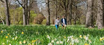 Spring) merupakan salah satu daripada empat musim yang lazim dalam zon sederhana, serta berperanan sebagai musim peralihan daripada musim sejuk kepada musim panas. Temukan Musim Semi Di New Zealand 100 Pure Nz