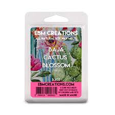 Get the the cactus blossoms setlist of the concert at norwegian pearl, new orleans, la, usa on february 7, 2018 and other the cactus blossoms setlists for free on setlist.fm! Amazon Com Baja Cactus Blossom Type Scented All Natural Soy Wax Melts 6 Cube Clamshell 3 2oz Highly Scented Handmade