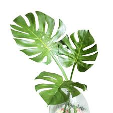 5pcs Real Touch Monstera Leaves Tropical Split Philo Leaf Plastic Decoration Artificial Flower Arrangment Fr Artificial Flowers Leaves Cheap Artificial Plants