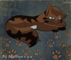 Do you have a great name for a warrior? Warrior Cats Poc