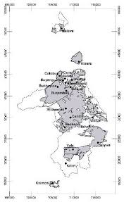 Image result for Malaxis weberbaueriana