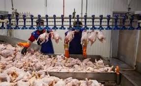 قیمت نهایی مرغ برای مصرف‌کنندگان در روز شنبه اعلام شد