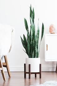 Mid Century Modern Plant Stand With Square Legs Planter Stand Hand Made In Canada Walnut Wood Retro Home Decor Mid Century Modern Plant Stand Modern Plant Stand Home Decor