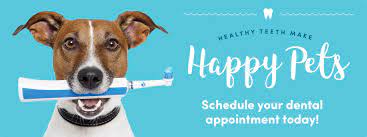 We did not find results for: Pet Medical Center Of Springfield Home Facebook