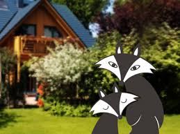 Anzeichen für füchse im garten. Faszination Fuchs Angesagtes Trendtier