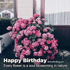 A kitten in the gift is celebrating a special birthday! Beautiful And Amazing Birthday Flower Gifts For Her Happy Birthday Wishes Memes Sms Greeting Ecard Images