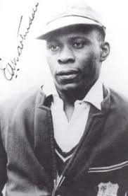 Meteors, comets and W. G. Grace: The life of W. F. Denning