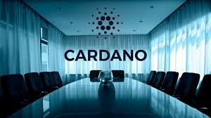 En este video te muestro por que le llaman a cardano el asesino de ethereum. Cardano Foundation The Independent Body That Oversees The Cardano Ecosystem Has Appointed Maryam Mahj Marketing Manager B2b Marketing Communications Strategy