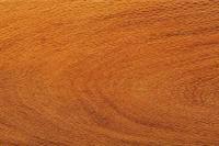 Image result for Faurea saligna