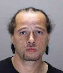 Weekly top reads: Prison City's holiday market, Auburn woman opens  restaurant, Auburn's cat problem