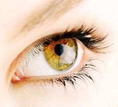 Hazel Eye Color What Causes Hazel Eyes Hazel Eyes Hazle Eyes Makeup For Hazel Eyes