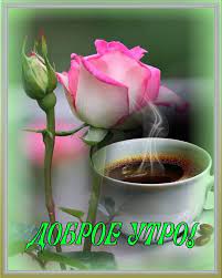 Доброе утро. Добрый день
