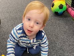 Fundraiser by Lisa Wilson : Harris the Hero