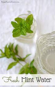 Mint Water