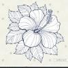 50 state flowers coloring pages for kids. 1