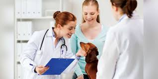 Up to 90% back on vet bills. Pet Insurance Learning From The U K