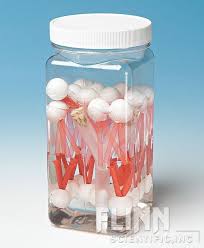 Plasma Membrane Model Membrana Plasmatica Membrana Celular Ideias Criativas