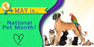 Check spelling or type a new query. The In Between Dog Grooming Blog D Tails Pet Boutique Spa