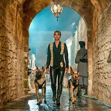 In John Wick 3 Parabellum Sophias Dogs Are Completely Cgi This Is Mainly In Part Due To The Directors Inability To Speak Dog Trainer Pitbull Boxer Best Dogs