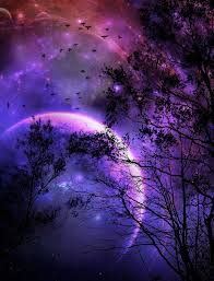 Violet Night Beautiful Moon Purple Sky All Things Purple