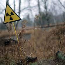 Tschernobyl | trotz der hohen strahlung leben diverse organismen im stillgelegten reaktor im. Forschung Der Nasa Mysterioser Pilz Im Tschernobyl Reaktor Ein Schutz Fur Krebspatienten Svz De