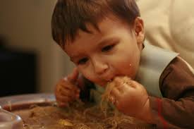 Ground Beef Stroganoff
