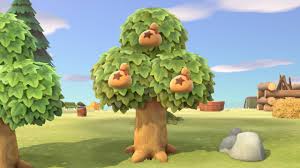 Tree, from the duo that offered the powerful war experience 'giant,' tracks you as tree represents both a continuation of that level of intense personal experience and a departure in technological. Money Tree Animal Crossing Wiki Fandom
