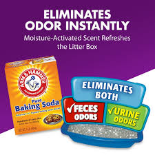 Pooph Litterizer – The Litter Box Civilizer | Cat Litter Deodorizer |  Absorbs Moisture & Odor | Cat Litter Scent Deodorizer | Safe For Pets And  People | 16Oz - Walmart.Com