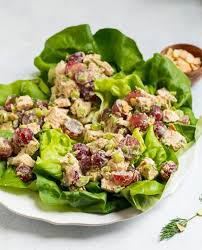 It's perfect for picky kids and i'm telling you the whole family will love it! Whole30 Chicken Salad Easy Waldorf Style Recipe