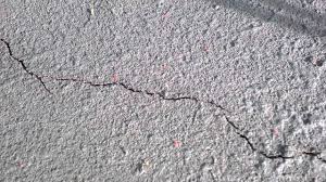 Grey matter reproduces perfect detail down to a fingerprint. Red Spider Mites On A Green Tennis Court Youtube