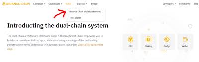 Binance coin (bnb) has a lot of use cases. Binance Chain Wallet