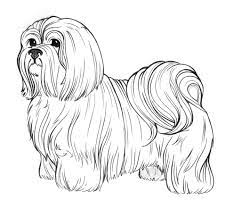 Also you can search for other artwork with our tools. 8 Shih Tzu Coloring Ideas Shih Tzu Coloring Pages Dog Coloring Page