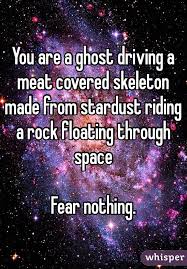 You Are A Ghost Driving A Meat Covered Skeleton Made From Stardust Riding A Rock Floating Through Space Fear Nothing Sanity Quotes Stardust Wonderful Words