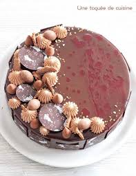 Entremet Chocolat Au Lait Passion Tarte Au Citron Gateau Chocolat Passion Chocolat
