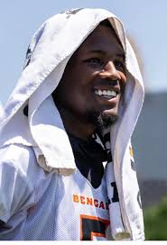 Tee Higgins contract update for Bengals fans