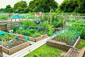 10 Most Creative Vegetable Garden Design Ideas To Increase Your Home Backyard Roomy Garden Layout Garden Planning Layout Vegetable Garden Design